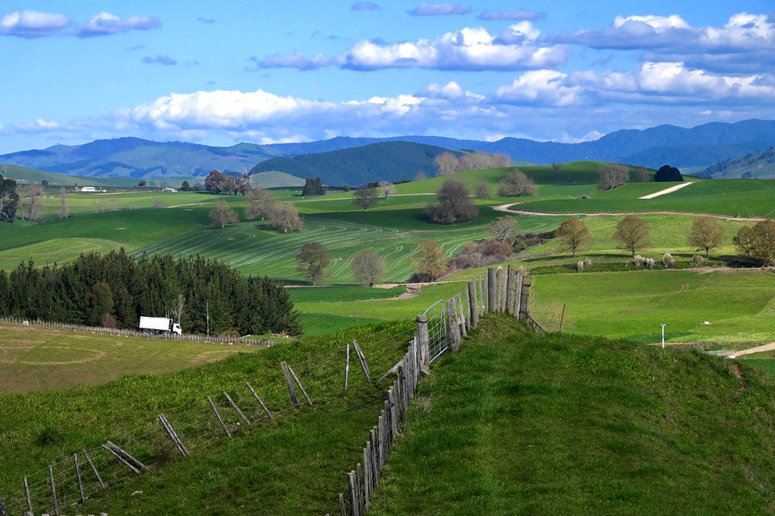 Rolling hills of paddocks, sectioned with wooden farm fence